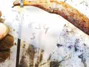 Stabilisator Stabi Hinten Hinterachse Hyundai i30 2007 - 2012 Gebraucht,