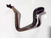 K?hlerschlauch Peugeot 405, 1992.12 - 1999.12 Gebraucht,