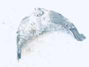 Radhausschale - Hinten Rechts Citroen C5, I 2001.03 - 2008.02 9627973480,