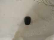 Waschwasserdüse Scheibenreinigung Ford C-MAX, 2003.01 - 2007.06 Gebraucht,