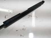 Gasdruckfeder Kofferraum Audi A6, C5 2001.08 - 2005.01 facelift Gebraucht,