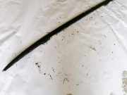 Dachreling Linke Opel Vectra, C 2002.04 - 2005.10 Gebraucht,