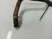 K?hlerschlauch Nissan Primera, P12 2002.01 - 2008.12 Gebraucht,