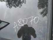 Schiebedach Glas Opel Insignia A, 2008.01 - 2013.01 Gebraucht,