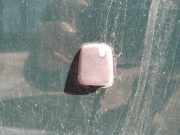 Waschwasserdüse Scheibenreinigung Fiat Marea, I 1996.01 - 2002.12 Gebraucht,