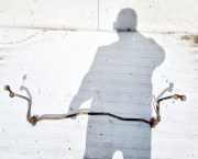 Stabilisator Stabi Hinten Hinterachse Opel Signum, 2003.05 - 2008.06 Gebraucht,