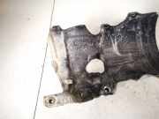 Hitzeschutzblech Abgaskrümmer Citroen C4 Picasso, I 2006.01 - 2013.06 Gebraucht,