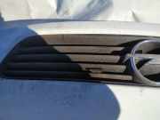 K?hlergrill Frontgrill K?hlergitter Opel Astra, G 1998.09 - 2004.12 Gebraucht,
