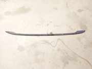 Dachreling Rechts Volkswagen Passat, B6 2005.08 - 2010.11 Gebraucht, BMP