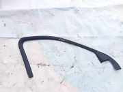 Schutzleiste Tür - Vorne Linke Jaguar X-Type, 2001.06 - 2007.11 1x435420891aj,