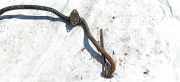 Stabilisator Vorne Opel Omega, B 1994.03 - 1999.09 Gebraucht,