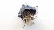 Unterdruckpumpe Vacuumpumpe Bremsanlage Renault Megane, II 2002.11 - 2006.06 D163123491,
