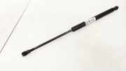 Gasdruckfeder Kofferraum Toyota Yaris, II (XP90) 2005.01 - 2011.01 Gebraucht,