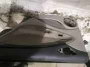 Türverkleidung - Hinten Rechts Citroen C5, I 2004.08 - 2008.02 facelift Gebraucht,