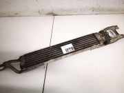 ?lk?hler Mercedes-Benz A-CLASS, W169, 2004.09 - 2008.09 a1695000200,