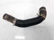 Kühlerschlauch Ford Focus, 2011.04 - 2018 Gebraucht,