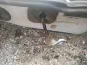 Türfangband Türbremse Türstopper - Hinten Linke Renault Espace, III 1996.11 - 2002.10 Gebraucht,