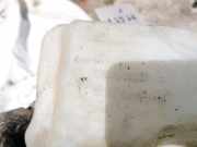 Scheibenwaschbehälter Vorne Wischwasserbehälter Renault Megane, II 2002.11 - 2006.06 8200104705,