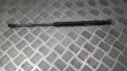 Gasdruckfeder Kofferraum Toyota Auris, I E15 2006.10 - 2012.10 6895002090,68950-02090