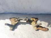 Vorderachse - Achsträger Mazda 626, 1997.04 - 2002.10 Gebraucht,