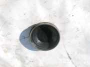 Blende Scheinwerfer - Vorne Renault Scenic, II 2003.06 - 2006.06 153874,
