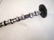 Nockenwelle Opel Vivaro A, 2001.08 - 2014.07 Gebraucht,