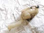 Scheibenwaschbehälter Vorne Wischwasserbehälter Chrysler 300C, I 2005.01 - 2010.06 Gebraucht ,