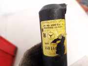 Waschwasserdüse Scheinwerferreinigung - Vorne Rechts Mercedes-Benz W203, 2004.02 - 2007.02 a2038600647,