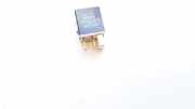 Relais Subaru Outback, IV 2009.06 - 2014.12 1567001020, 156700-1020