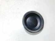 Blende Scheinwerfer - Vorne Renault Megane, II 2002.11 - 2006.06 89001960,