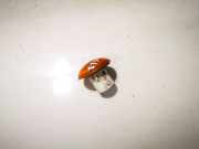 Blinkleuchte Kotflügel - Vorne Rechts Ford Transit Connect 2002.06 - 2008.12 v97fb13k376ba, v97f-b13k376ba