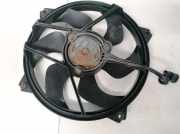 Kühlerlüfter Lüftermotor Peugeot 307, 2000.08 - 2005.06 Gebraucht,