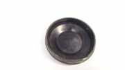 Blende Scheinwerfer - Vorne Renault Scenic, II 2003.06 - 2006.06 153874,153874