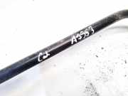 Stabilisator Stabi Hinten Hinterachse BMW X5, E70 2006.10 - 2010 gb03,