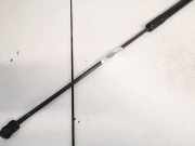 Gasfeder für Motorhaube Volkswagen Passat, B6 2005.08 - 2010.11 3c0823359a, CBDC