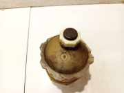 Ausgleichsbehälter Renault Clio, 1990.05 - 1998.09 7700810997,