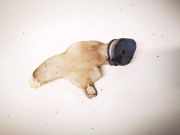 Verschluss Waschwasserbehälter Volvo C30, I 2006.01 - 2010.01 30663929, 4n51-17b644-ca