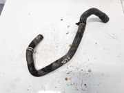 Kühlerschlauch Ford Focus, 2011.04 - 2018 Gebraucht,