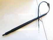 Gasdruckfeder Kofferraum Citroen C5, II 2008.02 - 2011.01 Gebraucht,
