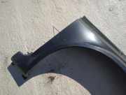Kotfl?gel - Vorne Rechts Renault Laguna, II 2001.03 - 2006.05 Gebraucht,