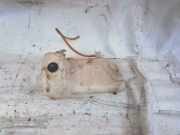 Scheibenwaschbeh?lter Vorne Wischwasserbeh?lter Mercedes-Benz W211, 2002.03 - 2006.04 2118602160,