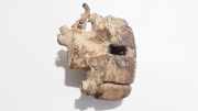 Bremssattel - Vorne Linke Mitsubishi Lancer V, 1992.06 - 1996.07 Gebraucht,
