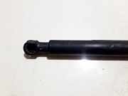 Gasdruckfeder Kofferraum Chevrolet Captiva, 2006.01 - 2011.06 96830123, 96 830 123