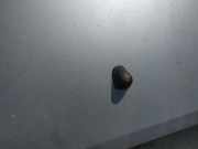 Waschwasserd?se Scheibenreinigung Opel Agila A 2000 - 2007 Gebraucht,