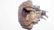 Bremssattel - Vorne Rechts Seat Alhambra, 2000.06 - 2010.03 facelift Gebraucht,