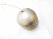 Druckspeicher Mercedes-Benz W220, 1998.10 - 2005.08 a2203200215,