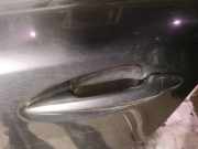 T?rgriff T?raussengriff - Hinten Linke Lexus IS, II 2005.10 - 2013.03 Gebraucht,