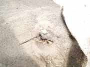 Radhausschale - Vorne Linke Skoda Octavia, II 2004.02 - 2009.03 Gebraucht,