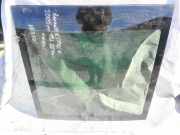 Schiebedach Glas Renault Espace, IV 2002.11 - 2014.12 Gebraucht,