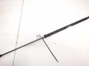 Gasdruckfeder Kofferraum Citroen Xsara, I 2000.09 - 2005.03 facelift Gebraucht,